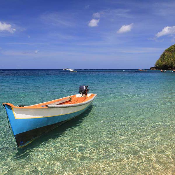 Peche a la senne martinique