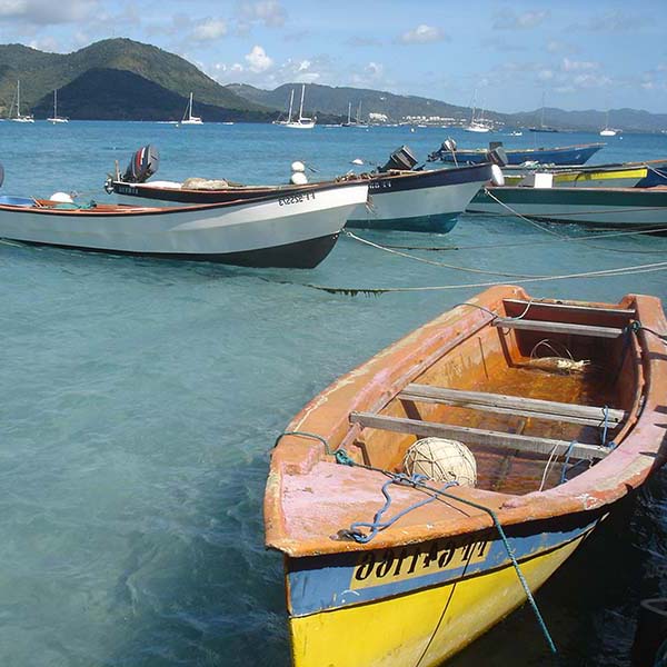 Peche a la senne martinique