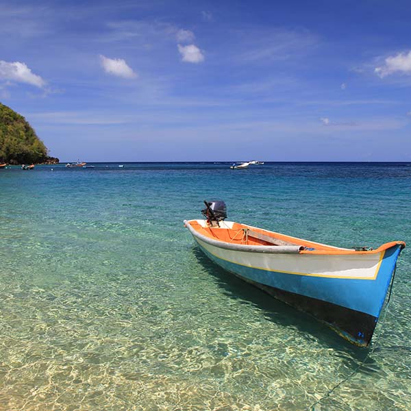 Peche a la senne martinique