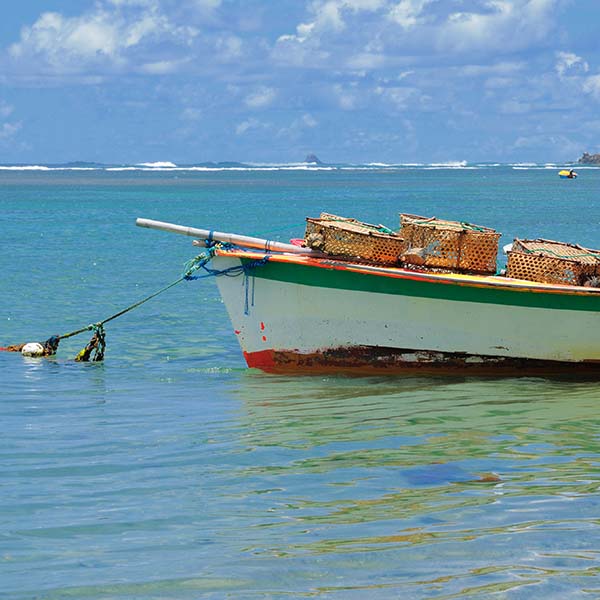 Peche a la senne martinique