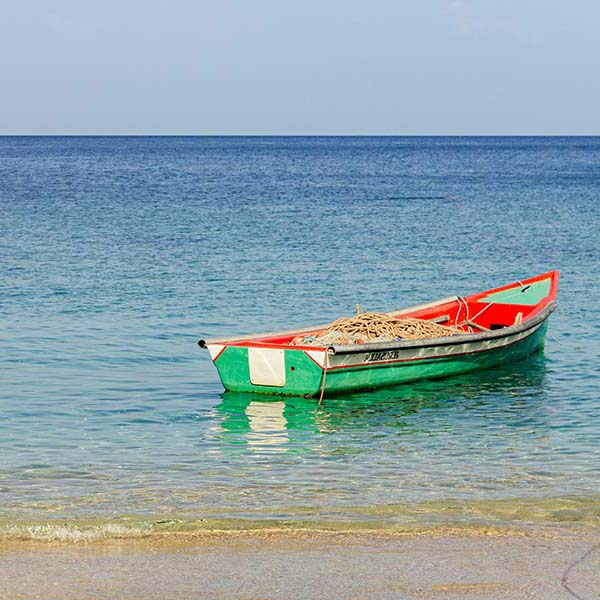 Peche a la senne martinique