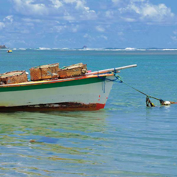 Peche a la senne martinique