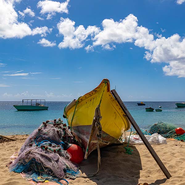 Peche a la senne martinique