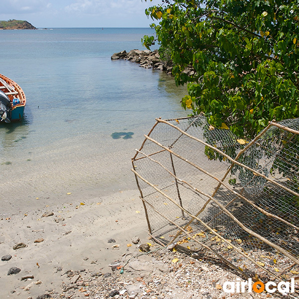 Plage saint anne martinique