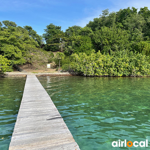 Plage sans sargasse martinique