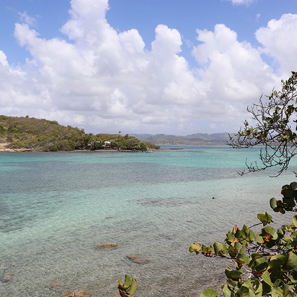 Carte plage martinique