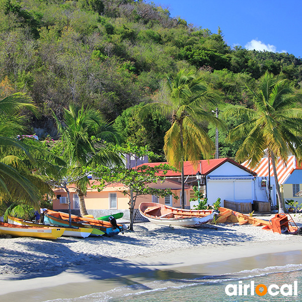 Plage tortue martinique