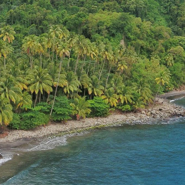 Bungalow plage martinique