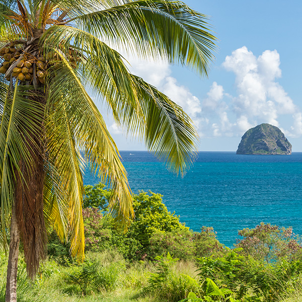 Plage sans sargasse martinique