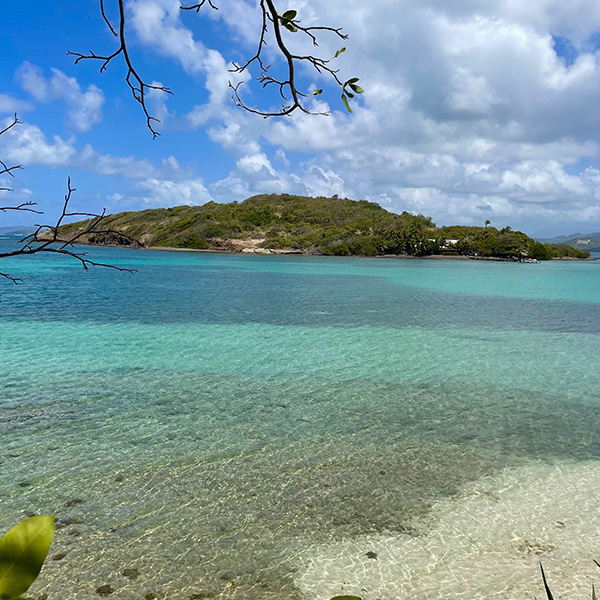 Plage saint anne martinique