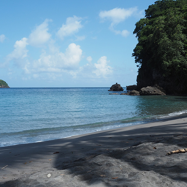 Plage paradisiaque martinique