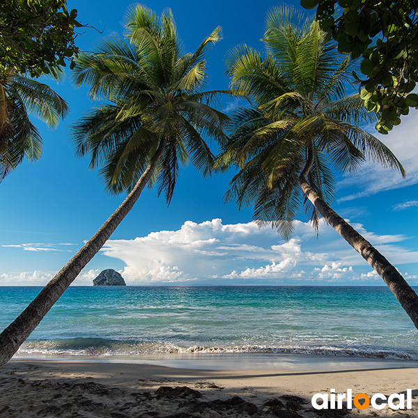 Plage paradisiaque martinique