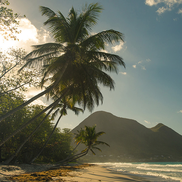 Plage saint anne martinique