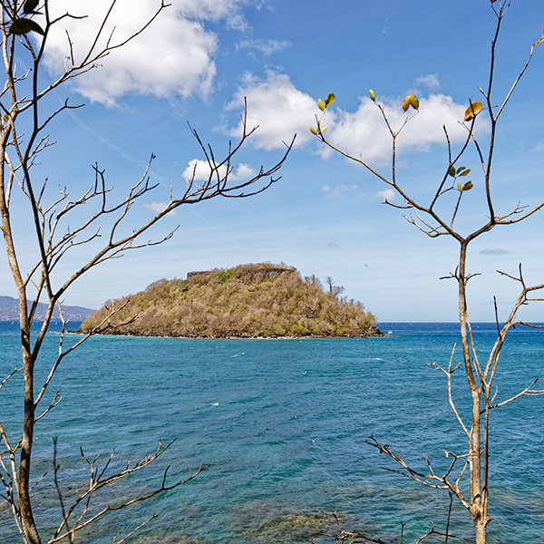 Plage sable blanc martinique