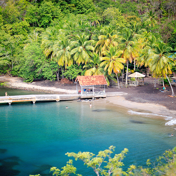 Plage saint anne martinique