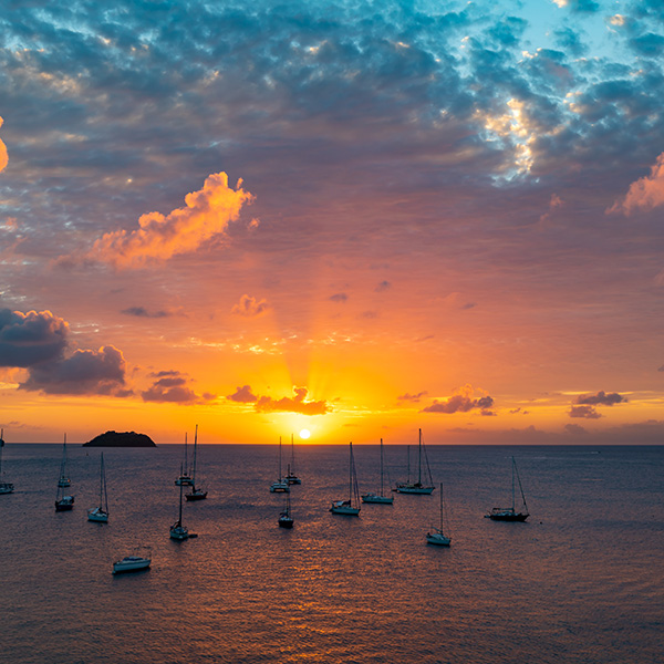 Plage sans sargasse martinique