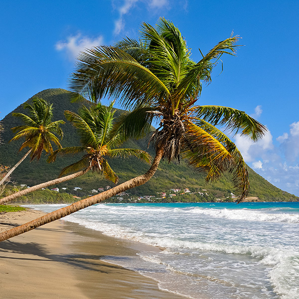 Les 10 plus belle plage de martinique