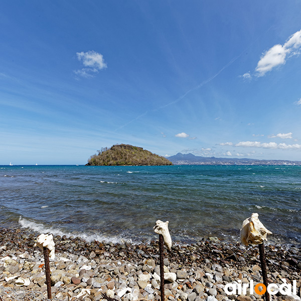 Les 10 plus belle plage de martinique