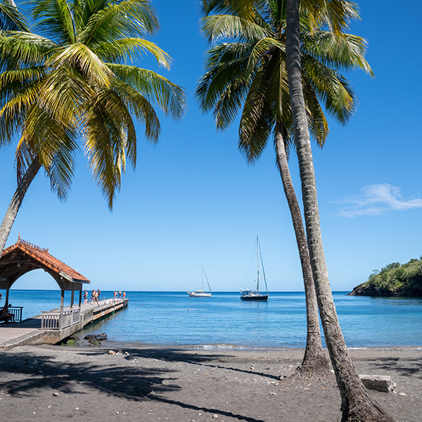 Plage tortue martinique