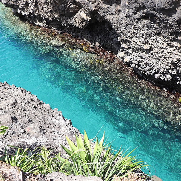 Plage sud martinique