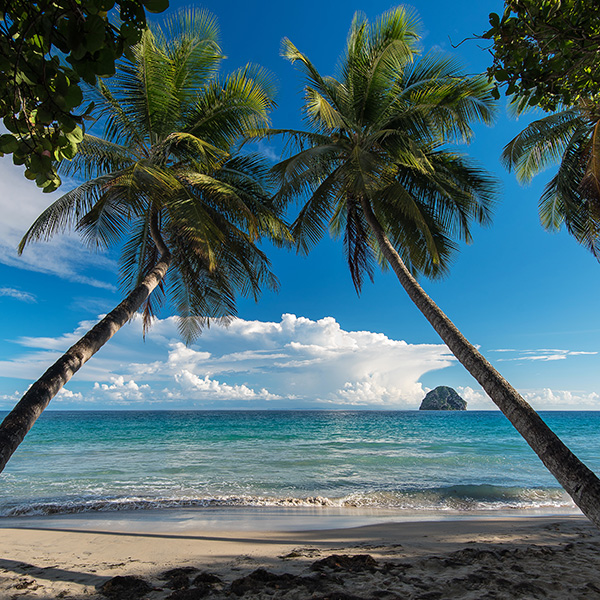 Paysage martinique plage