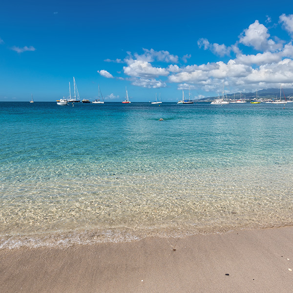 Plage paradisiaque martinique