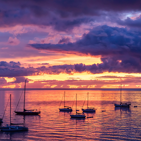 Plage saint anne martinique