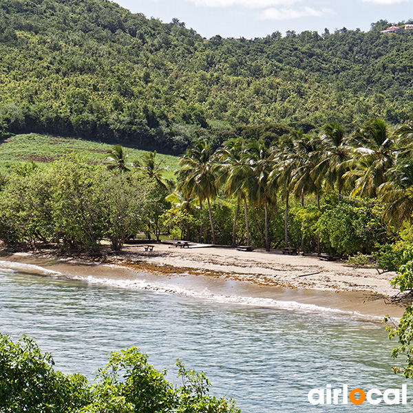 Meilleures plages martinique