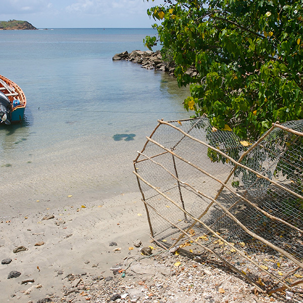 Meilleur plage martinique