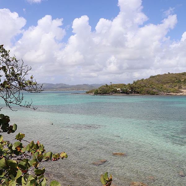 Plage gay martinique