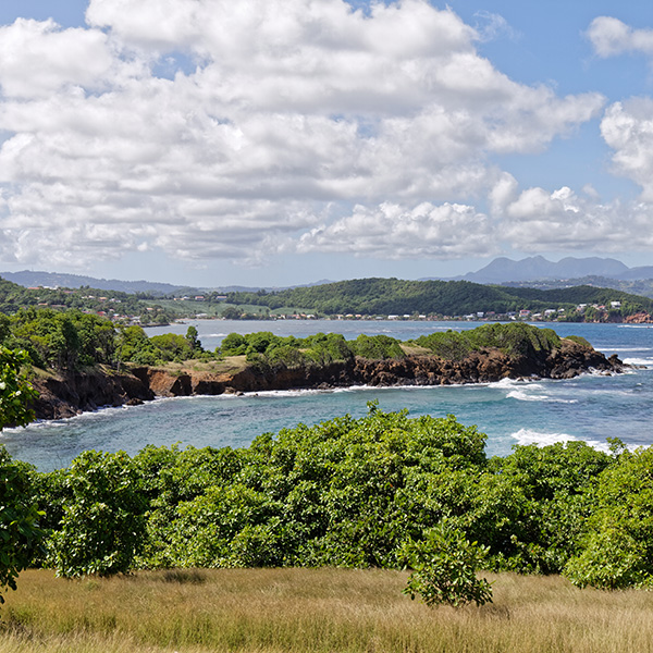 Photos plage martinique