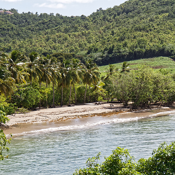 Plage privée martinique