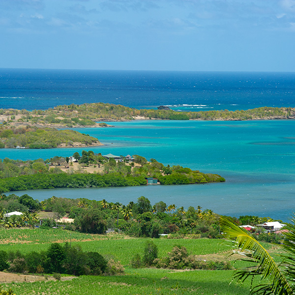 Plus belle plage martinique ou guadeloupe