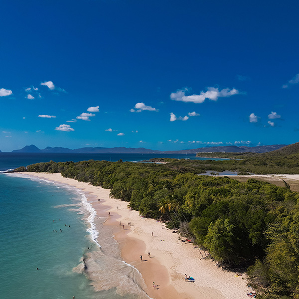 Plage tortue martinique