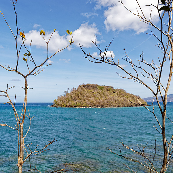 Plage paradisiaque martinique