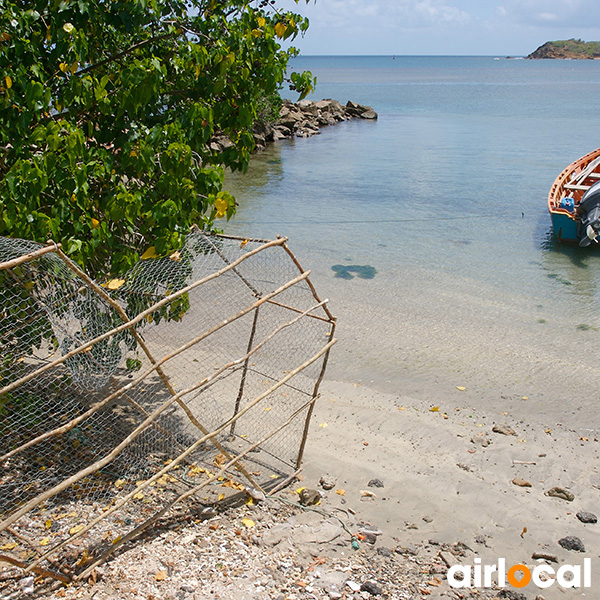 Plage sans sargasse martinique