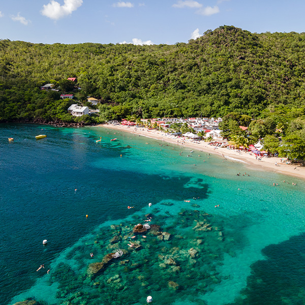 Paysage martinique plage