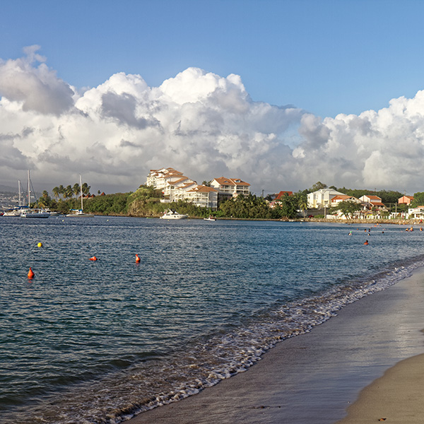 Plage sans sargasse martinique