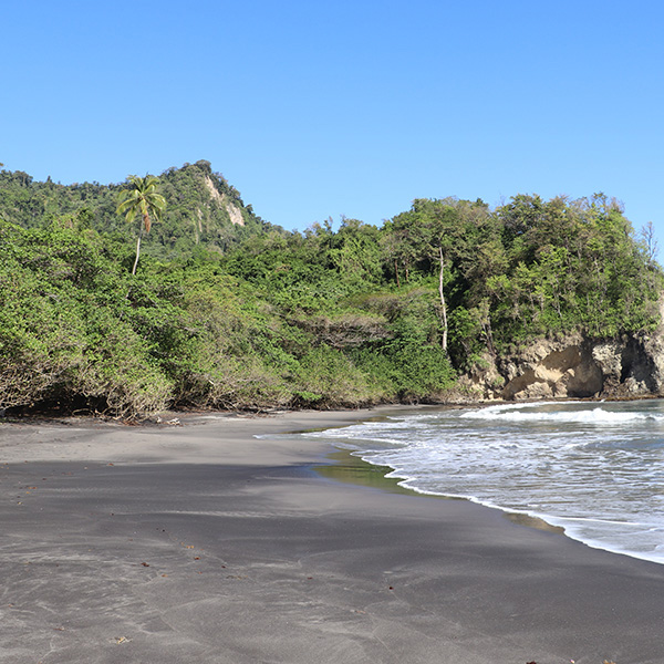 Bungalow plage martinique