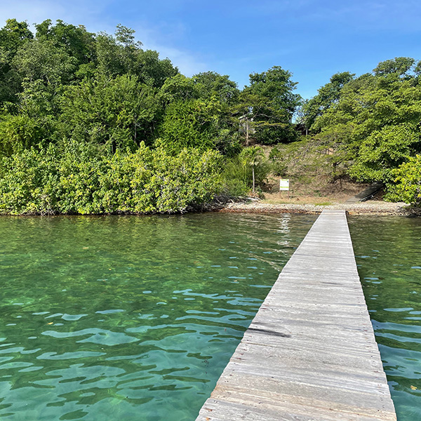 Martinique plus belle plage