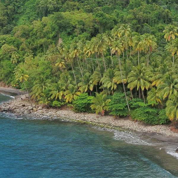 Les plus belles plages de martinique