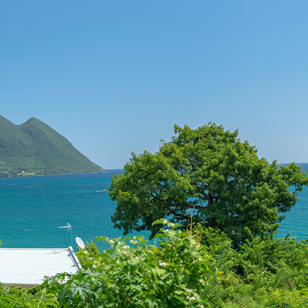 Les 10 plus belle plage de martinique