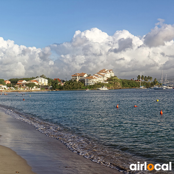 Plage tortue martinique