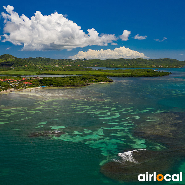 Plage paradisiaque martinique