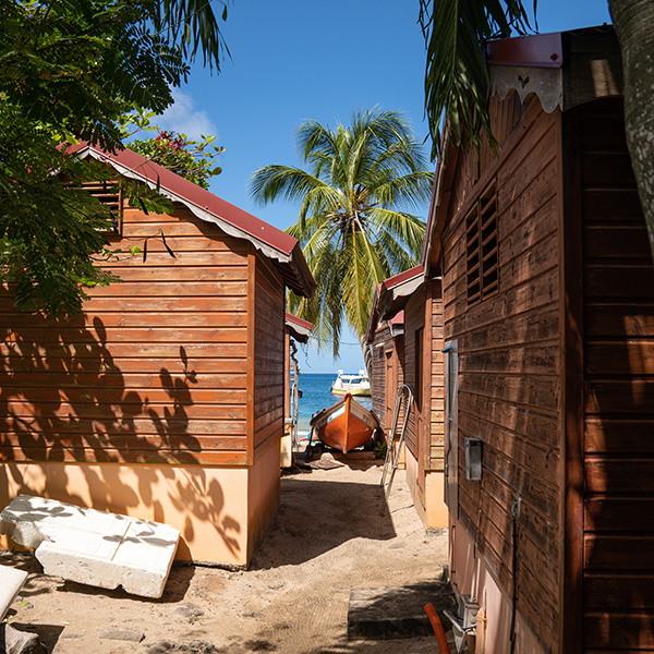 Plage saint anne martinique