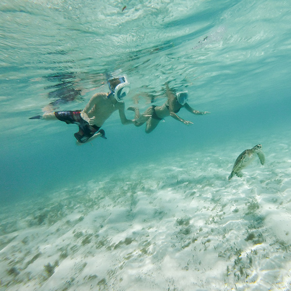 Croisière plongée martinique