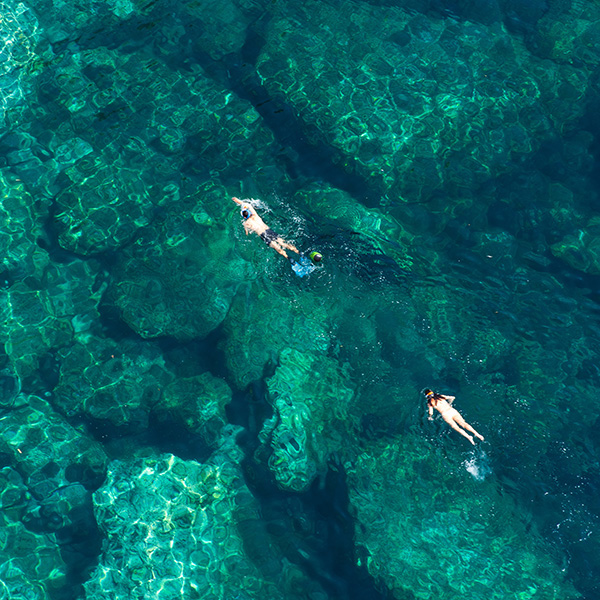 Niveau 1 plongée martinique