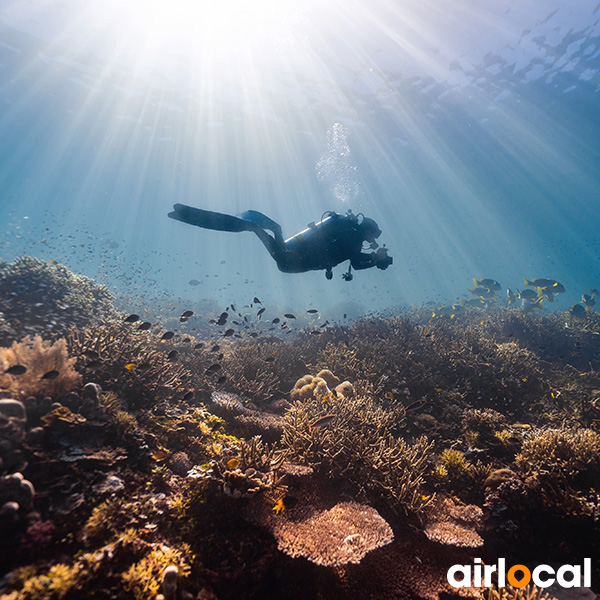 Plongée sous marine martinique