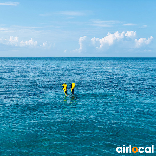 Faire de la plongée en martinique