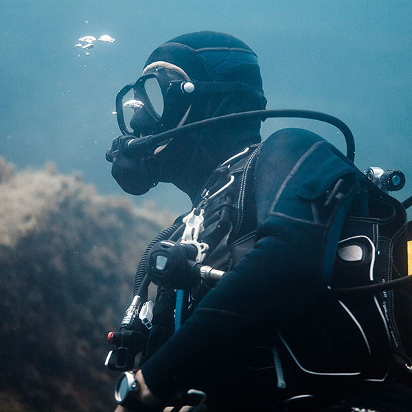 Plongée sous marine martinique